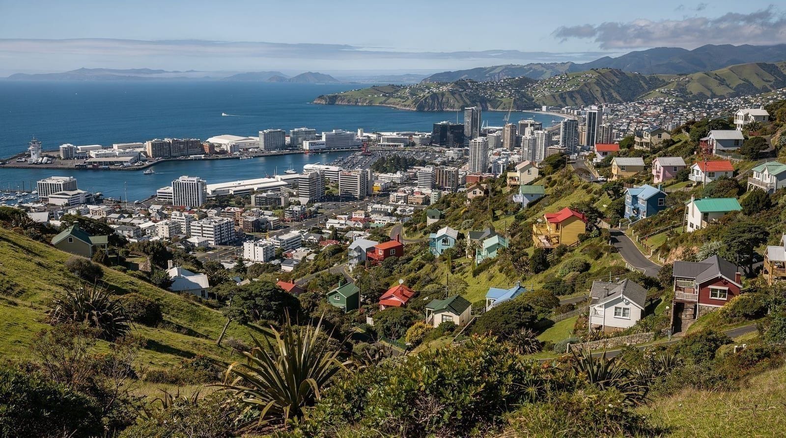 Best Instagram spots in Wellington — Wellington's most photogenic spots: Mount Victoria, Oriental Bay, the cable car 