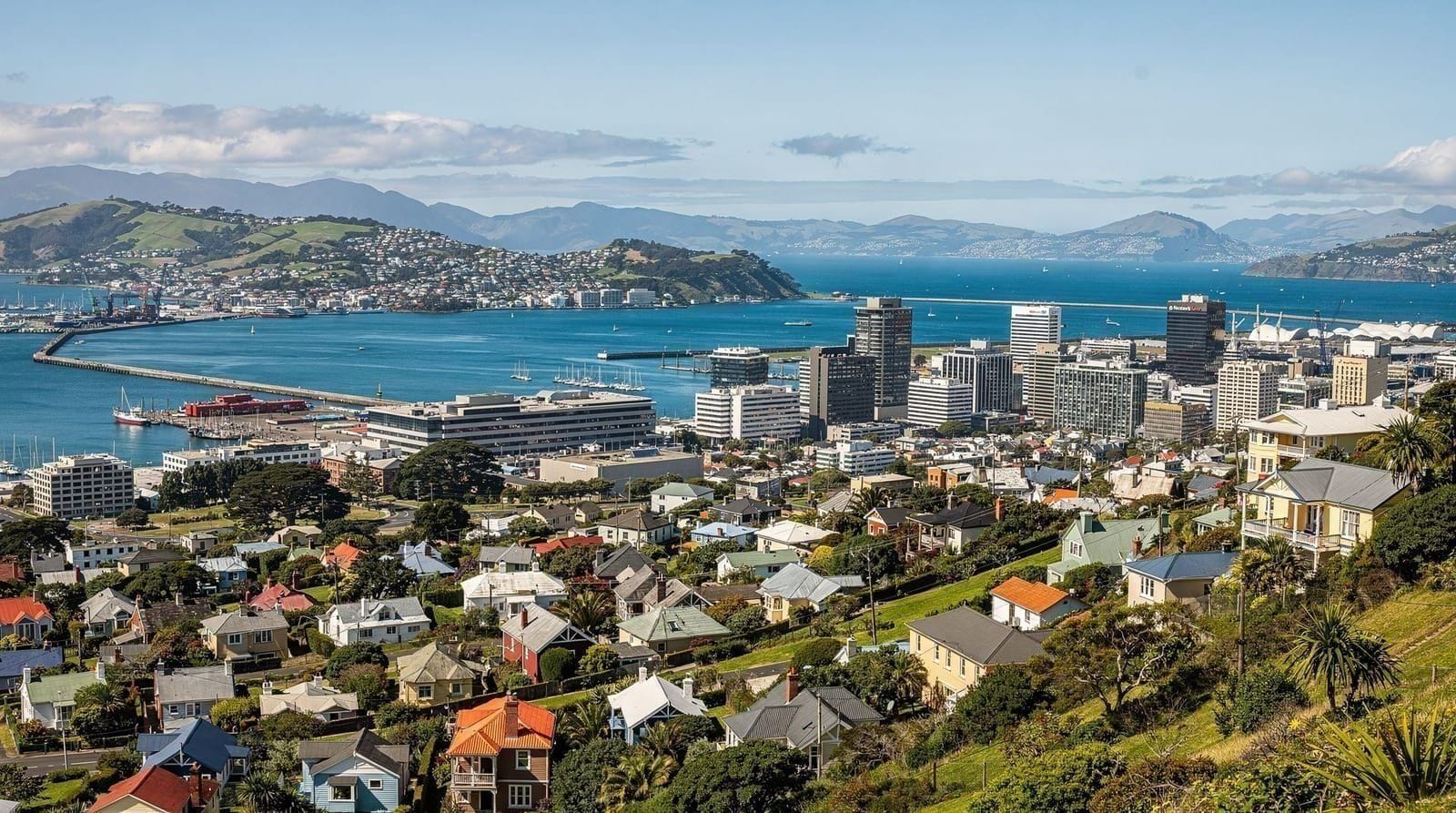 Wellington on a budget — How to visit Wellington cheaply — realistic daily budgets, free attractions and 