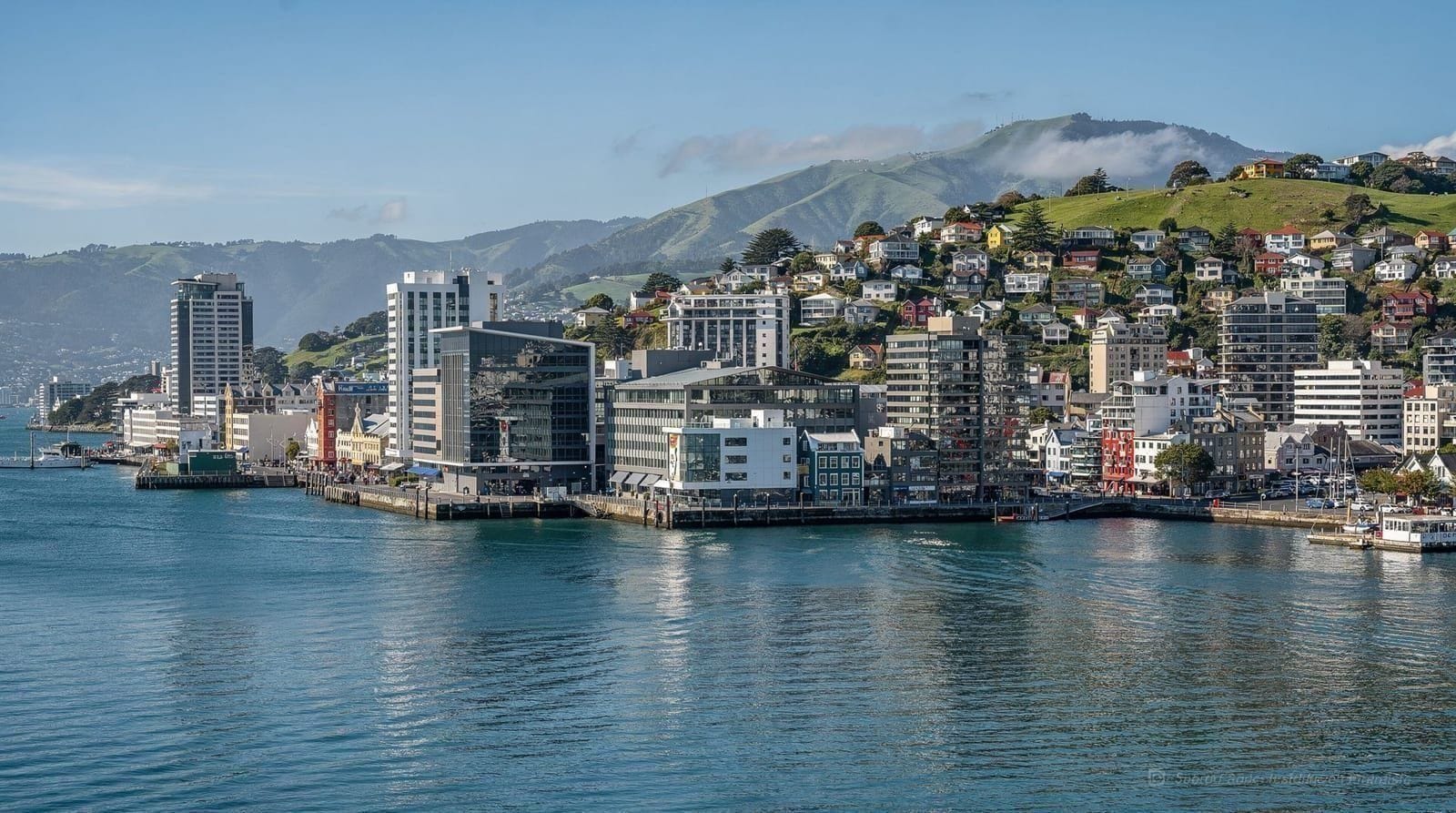Wellington or Auckland: which city break? — Wellington vs Auckland for a city break: size, walkability, food and film herita