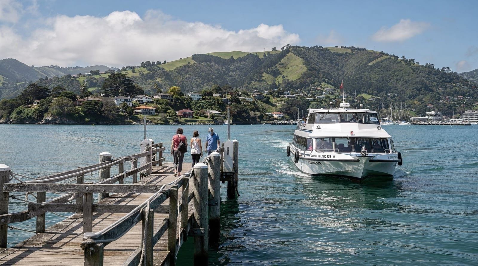 Days Bay & Eastbourne, New Zealand