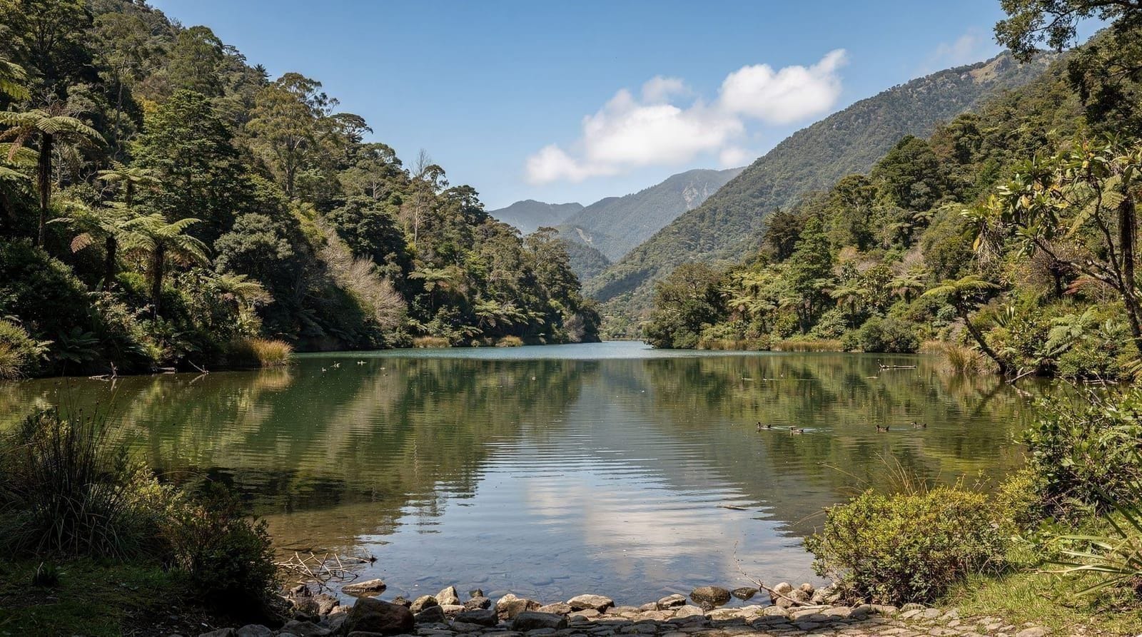 Karori & Zealandia, New Zealand