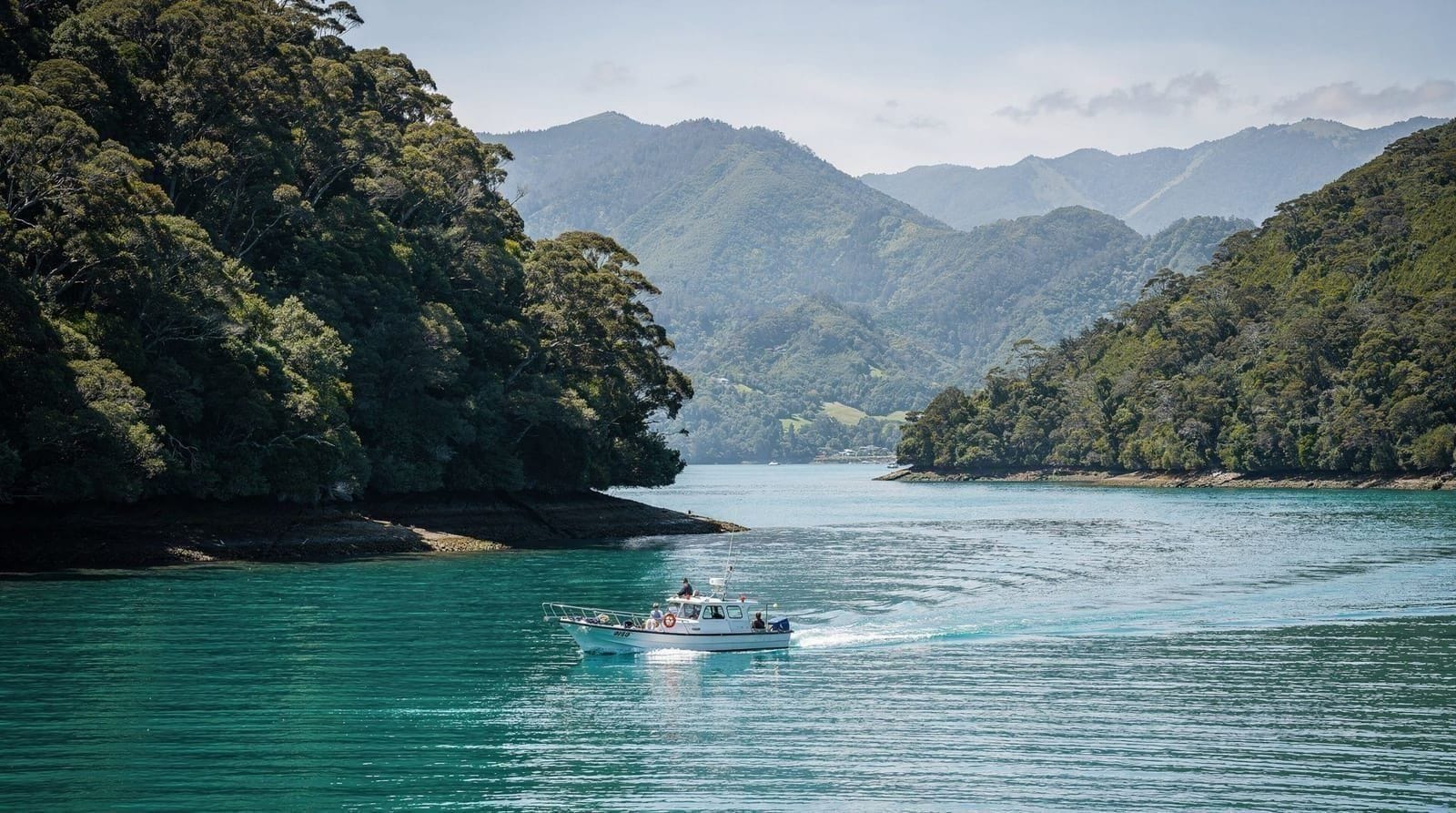 Marlborough Sounds, New Zealand