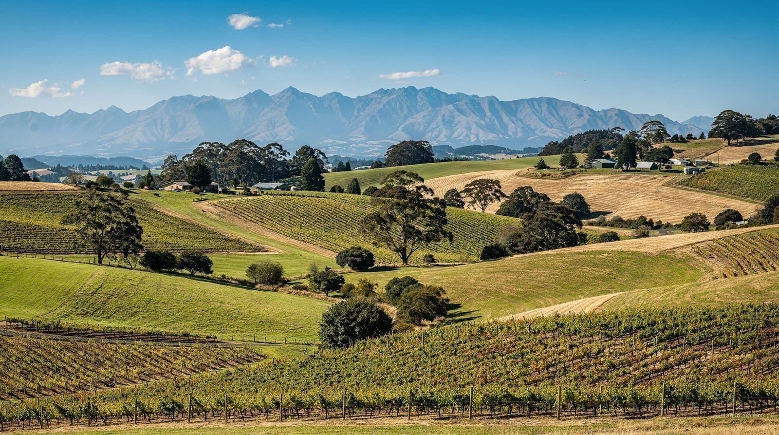 Masterton & the Wairarapa, New Zealand