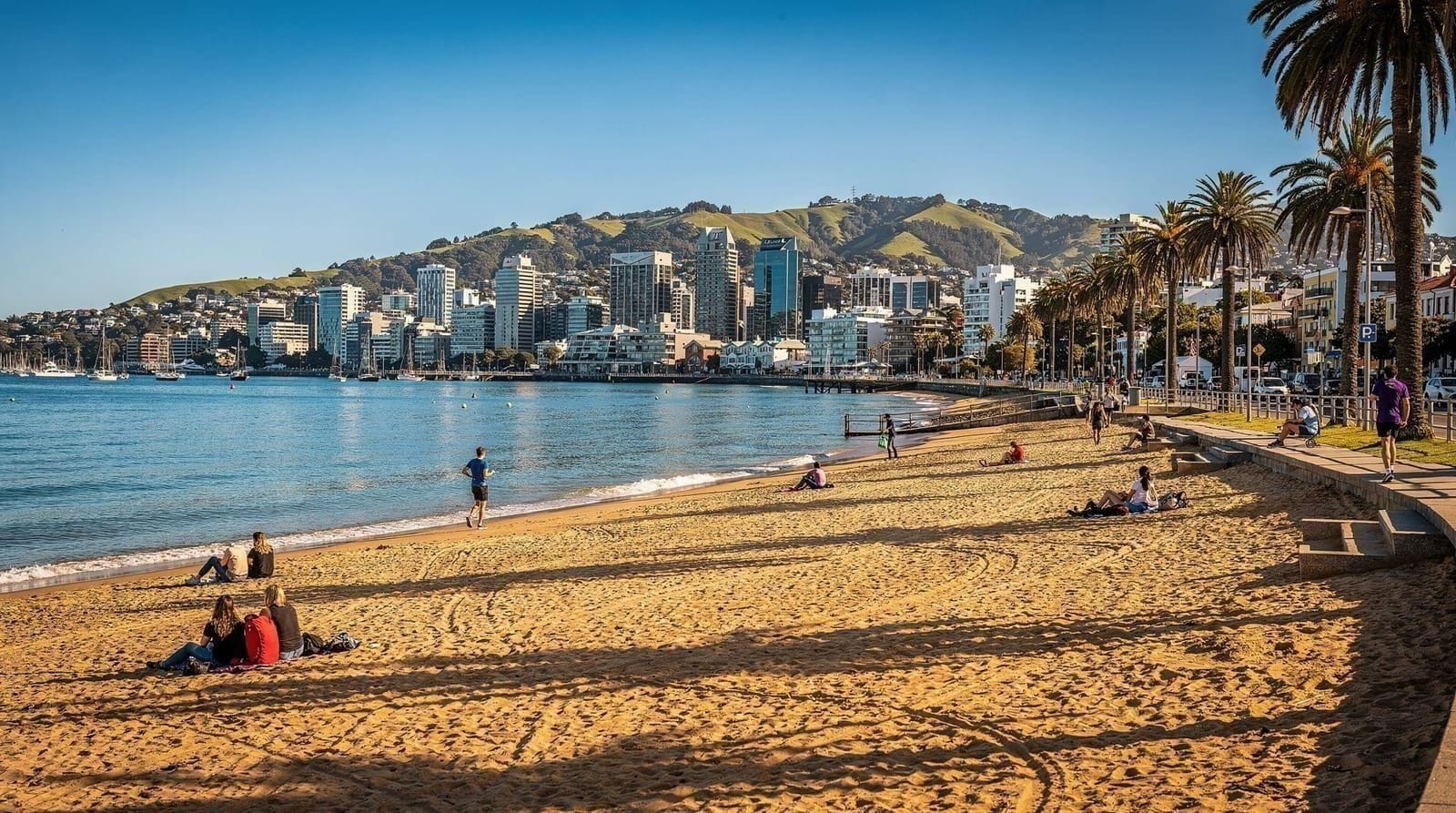 Oriental Bay, New Zealand