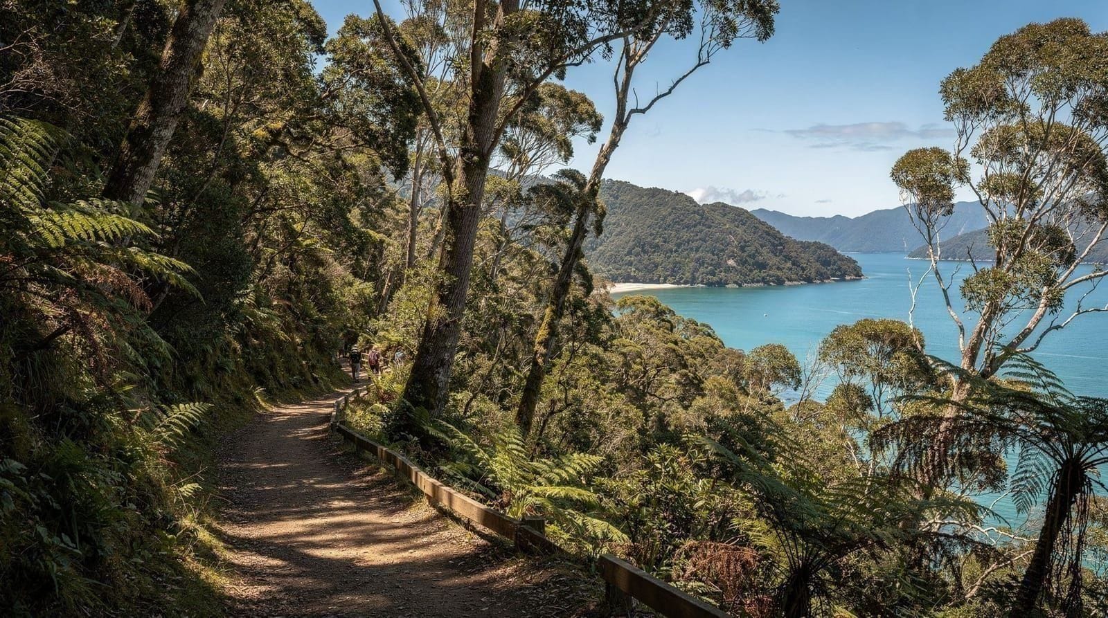 Queen Charlotte Track, New Zealand