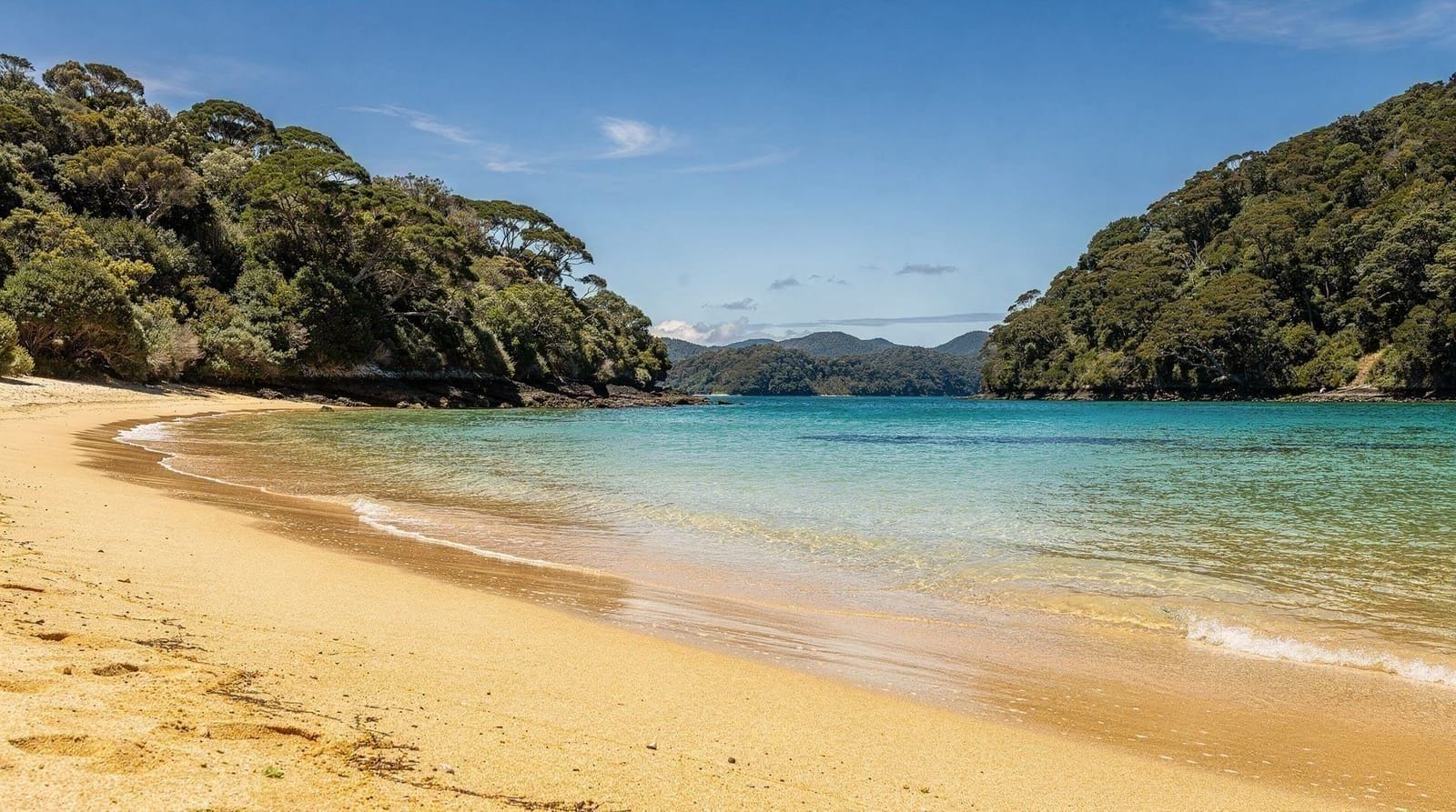 Nelson: Golden Bay and Abel Tasman Fly and Cruise Day Tour