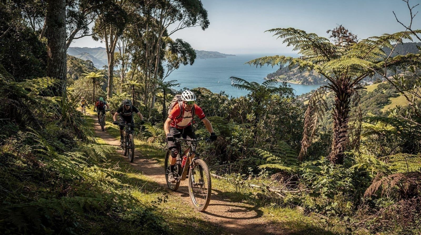 Adventure — Cable-car hikes, mountain biking, harbour kayaking and the Cook Strait ferry cro