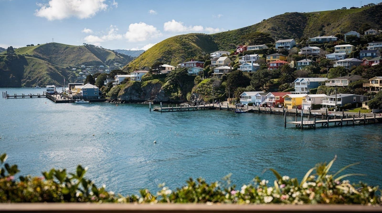 Best time to visit Wellington — When to visit Wellington by season — temperatures, rainfall, crowds and prices f