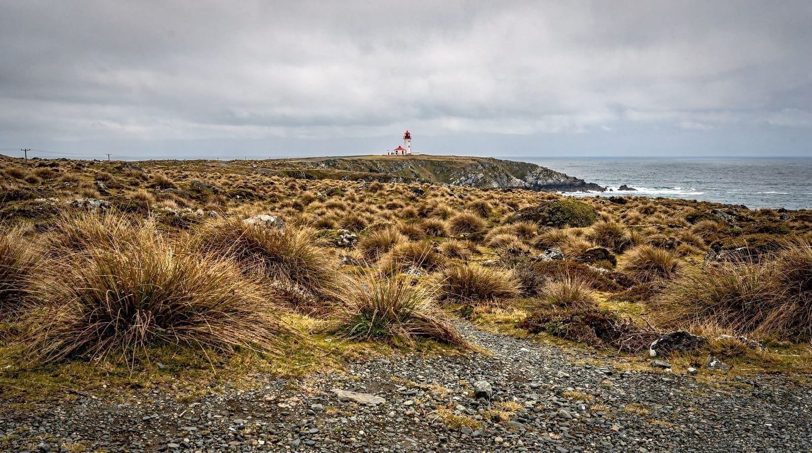 Cape Palliser day trip guide — Planning a Cape Palliser day trip: realistic timing for the seal colony and ligh
