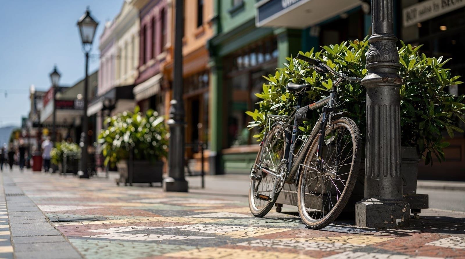 Cuba Street guide: Wellington's bohemian heart