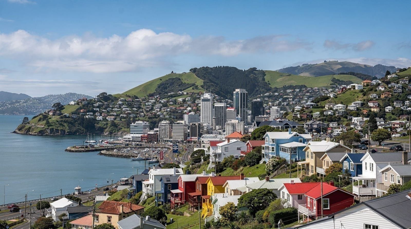 Cose gratis da fare a Wellington — Le migliori attrazioni gratuite di Wellington — Te Papa, il lungomare, Mount Vic
