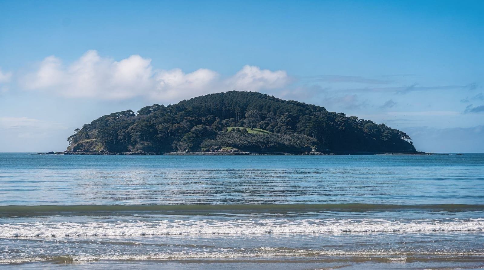 From Wellington: Kapiti Island Nature Reserve Day Trip
