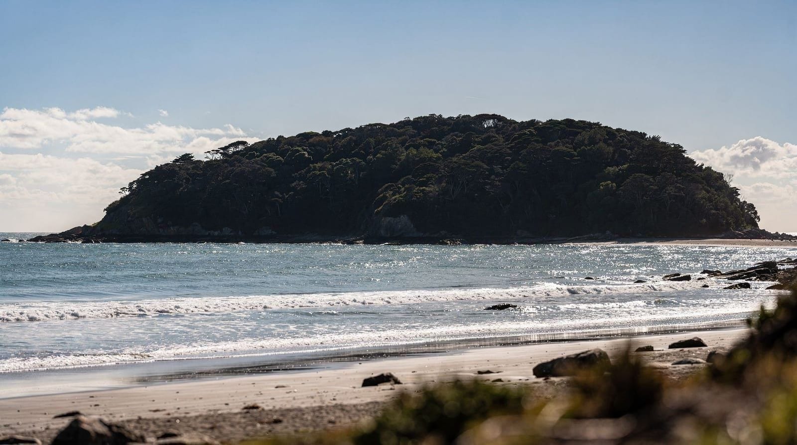 From Wellington: Kapiti Island Classic Guided Day Tour