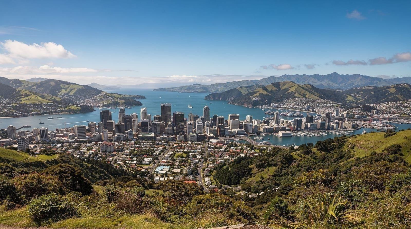 Guida al belvedere di Mount Victoria — Come raggiungere il belvedere di Mount Victoria a Wellington: percorsi a piedi, 
