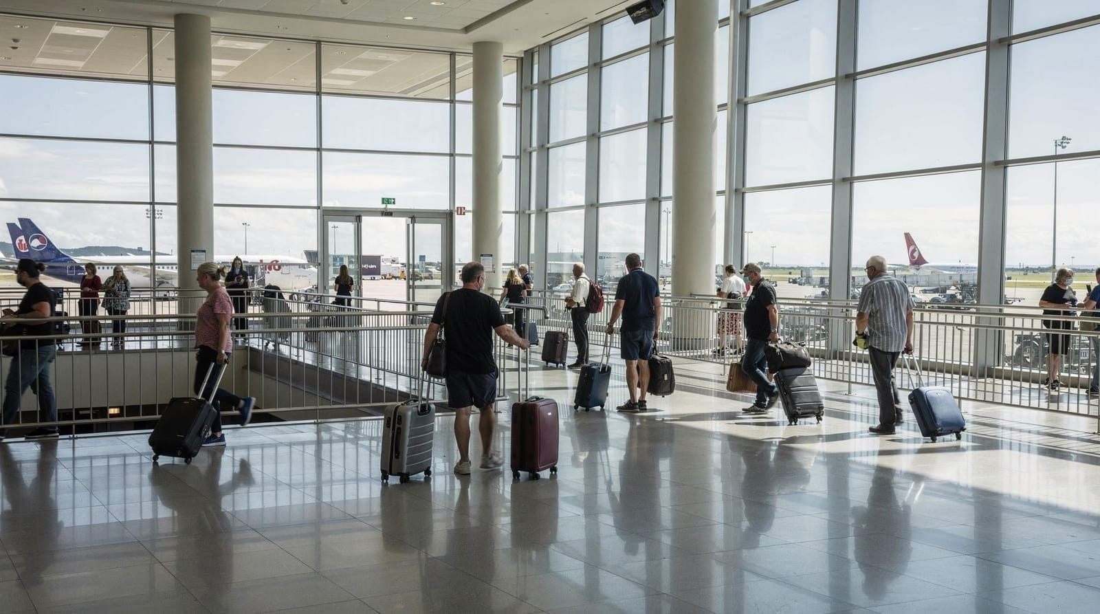 NZeTA & IVL guide for Wellington visitors — How the NZeTA and International Visitor Levy work for visitors arriving in Welli
