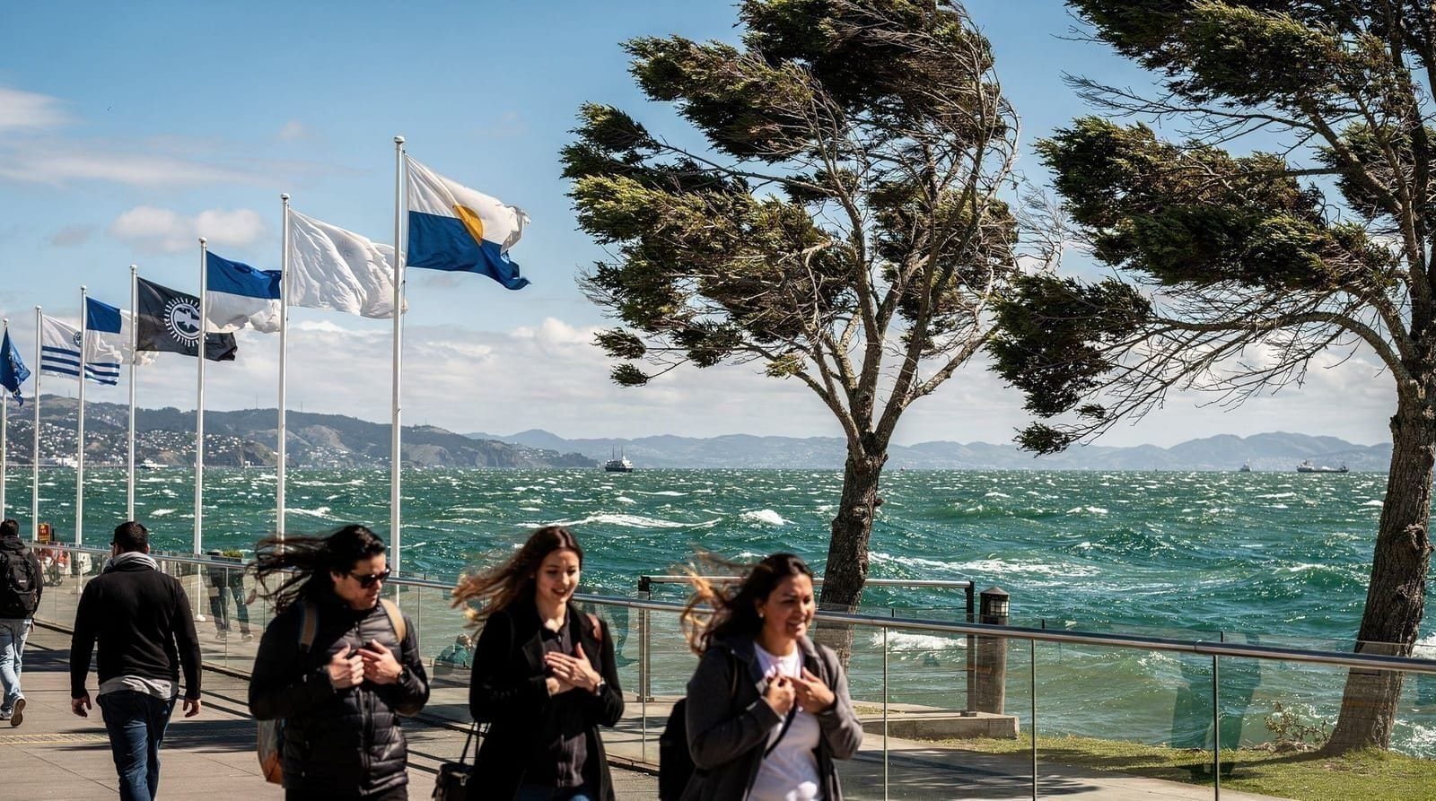 Packing list for windy Wellington — What to actually pack for Wellington's wind and changeable weather — clothing, f