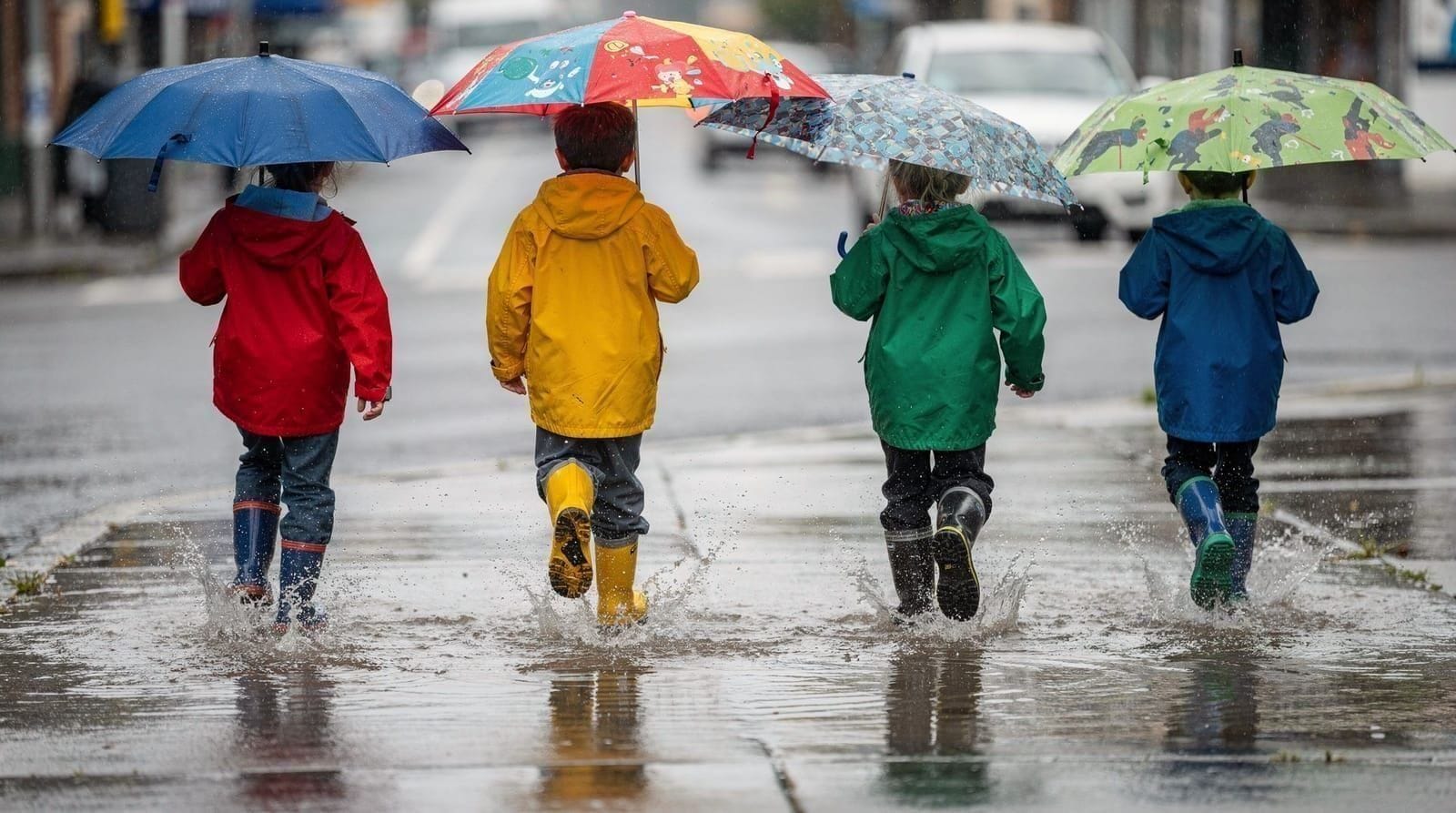 Rainy-day Wellington with kids