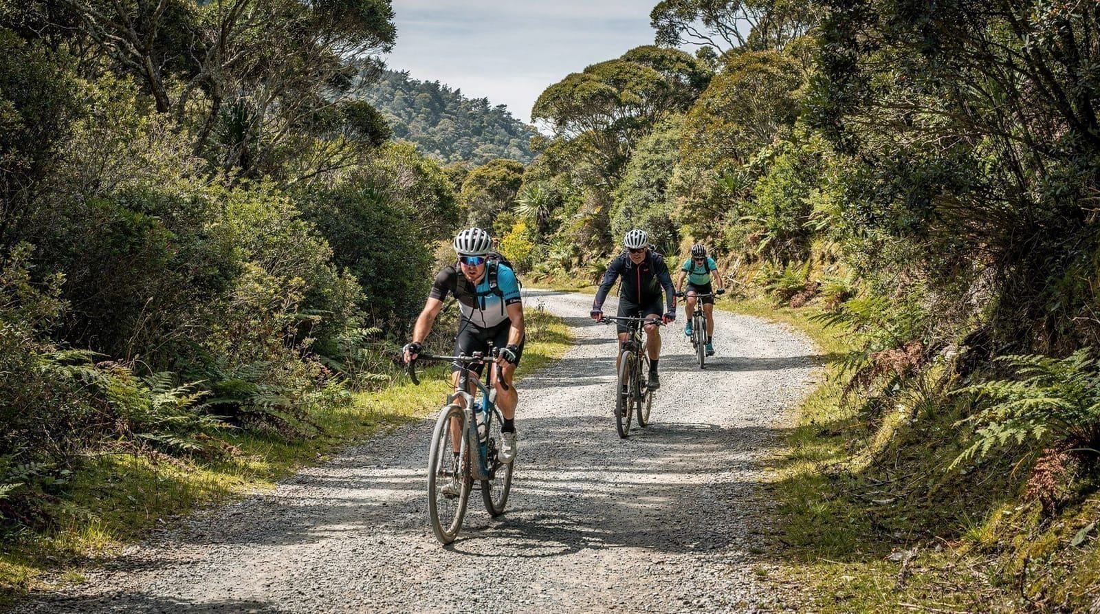 Wellington: Remutaka Rail Trail Mountain Bike Explorer