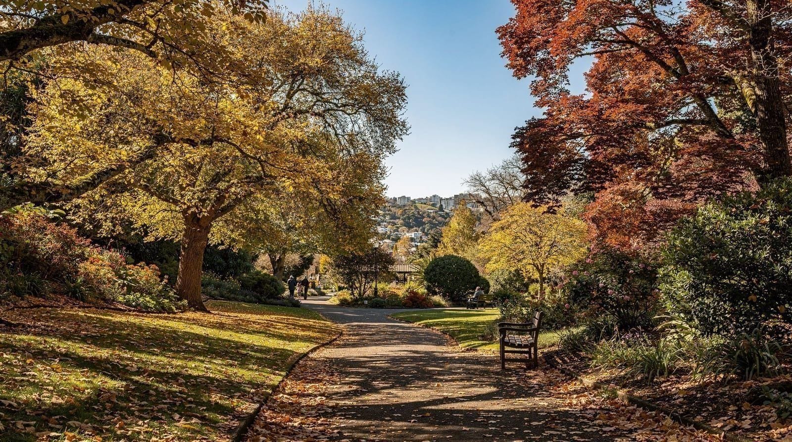 Seasonal guides — Best time to visit, wind survival, the autumn value season and the festival cale