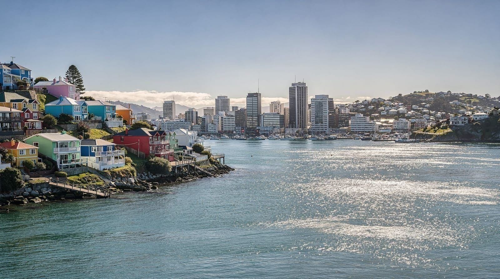 Wellington: Highlights Tour with a Local Guide