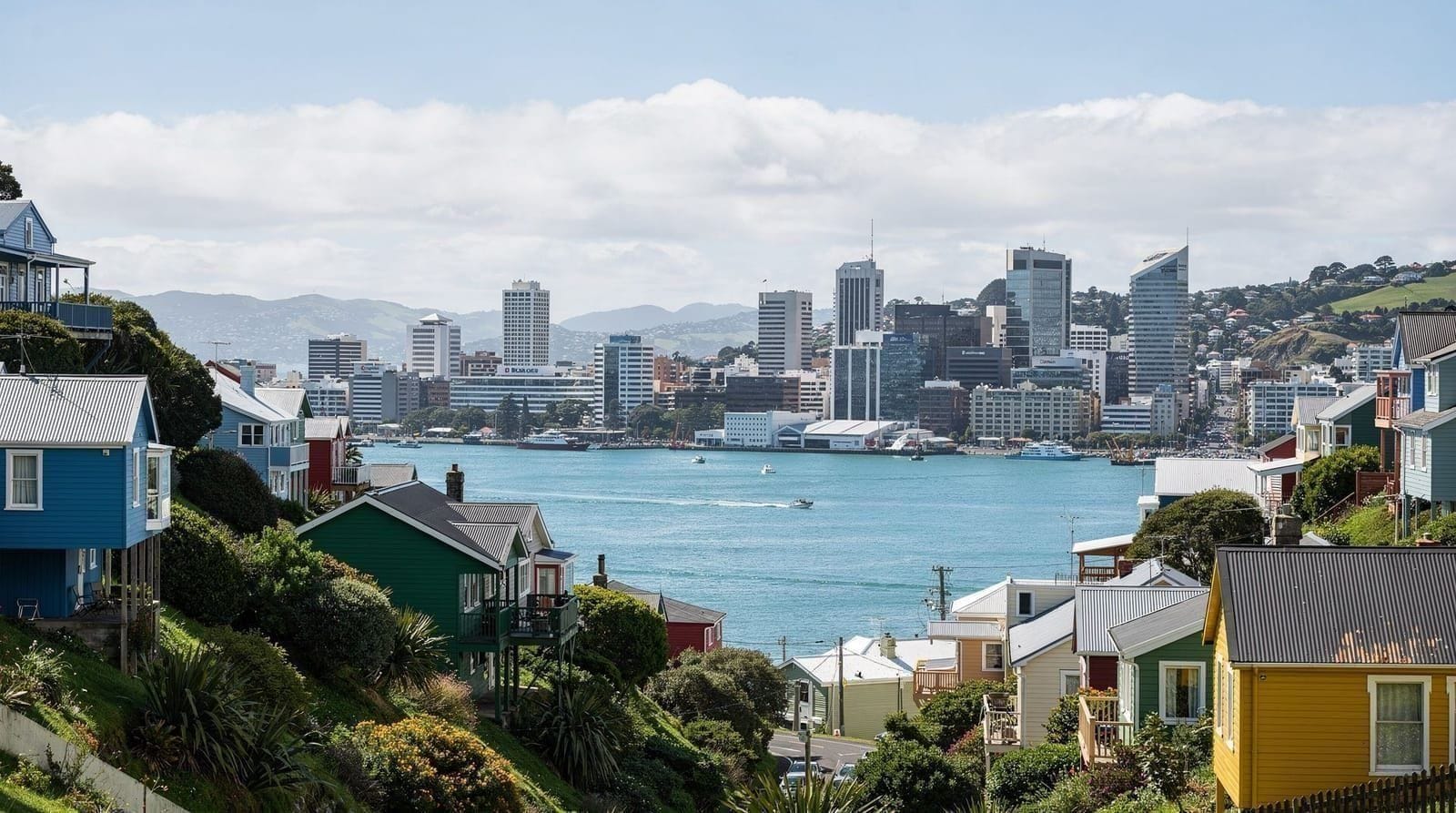 Gemme nascoste di Wellington — I luoghi meno noti di Wellington — punti panoramici tranquilli, piccoli musei e 