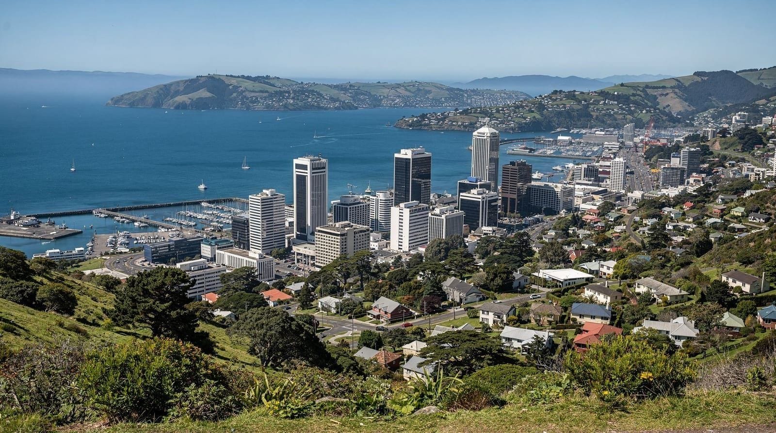 Wellington in 1 giorno: come sfruttare al meglio una visita breve — Un piano realistico per un giorno a Wellington — Te Papa, funicolare, Cuba Stree