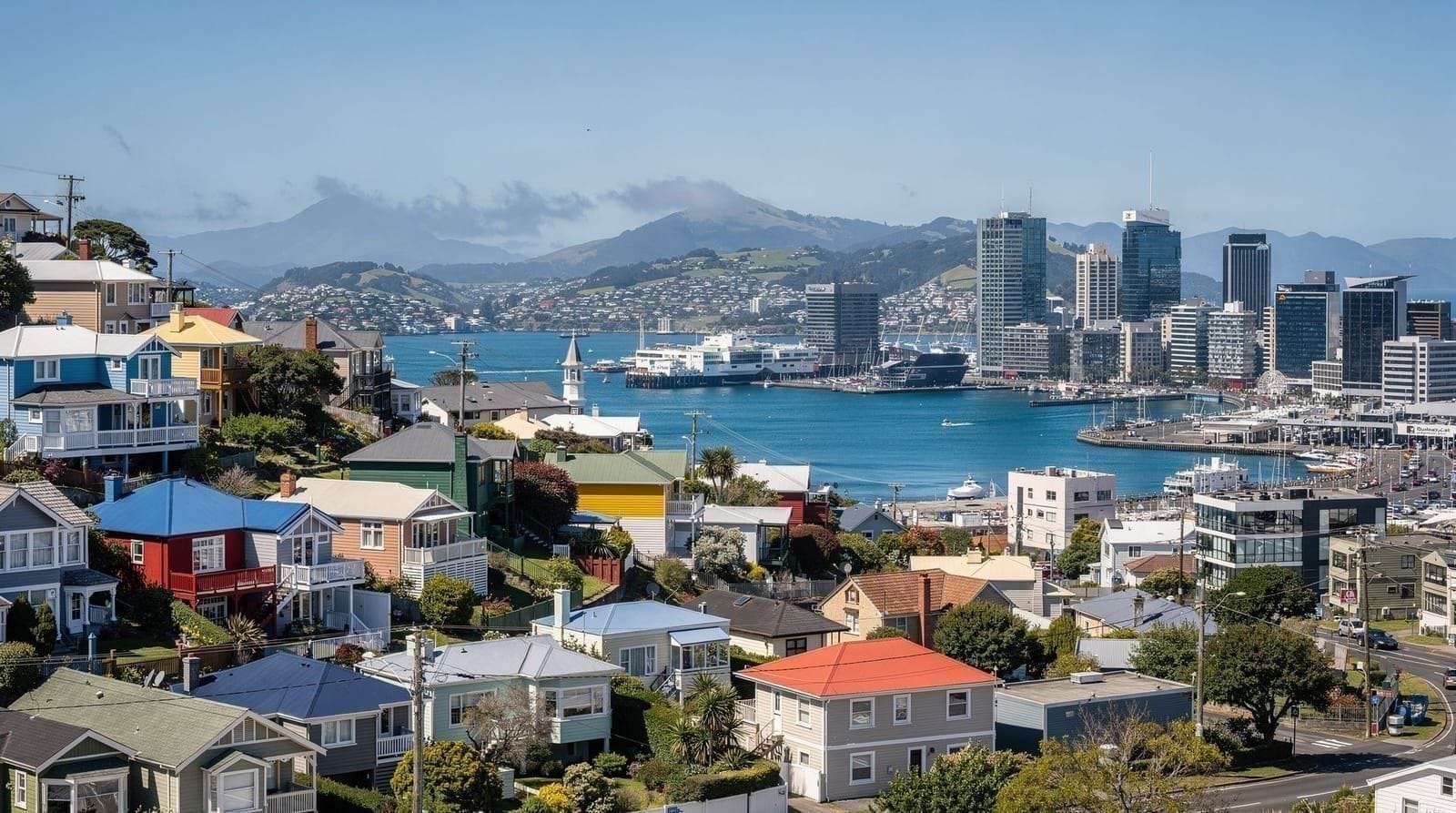 Wellington in 3 giorni: l'itinerario completo — Un piano di tre giorni a Wellington con gita a Martinborough o una combinazione 