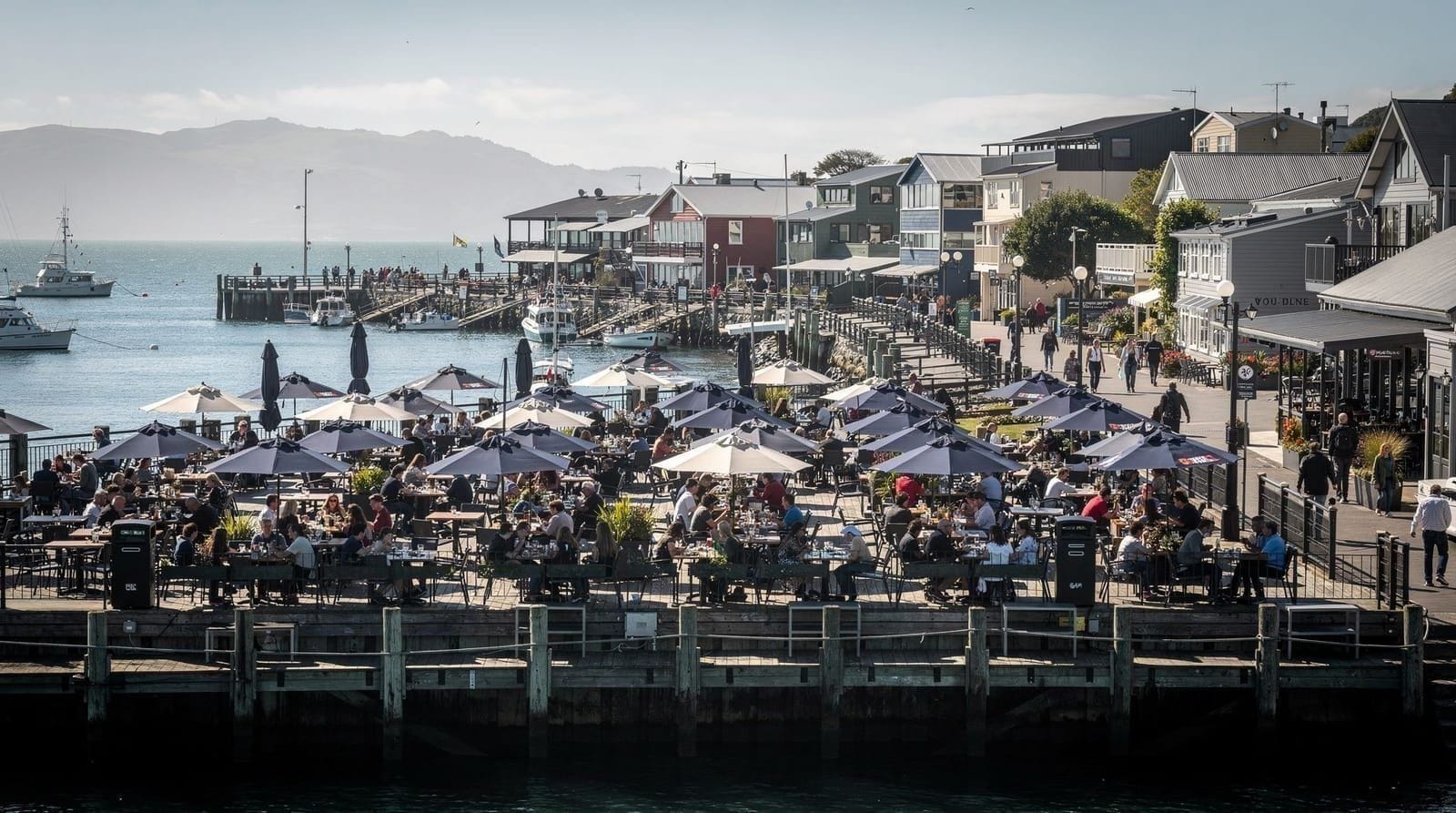 Wellington tourist traps & overpriced spots — An honest list of Wellington's overpriced tourist traps — waterfront cafés, harb
