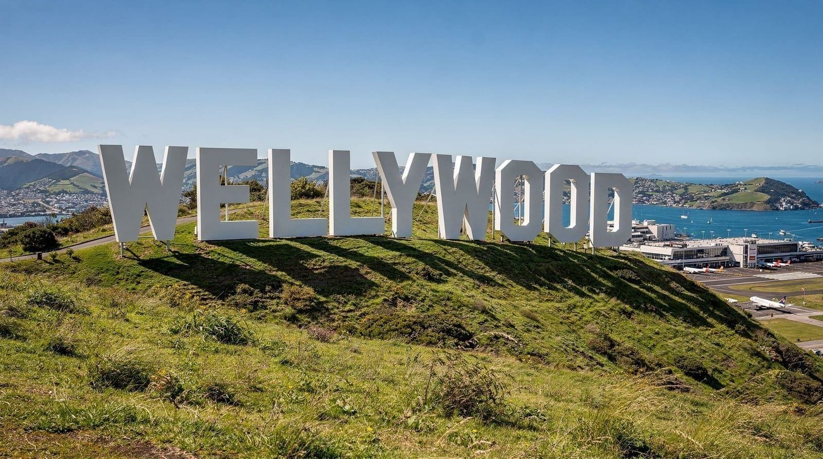 The Wellywood sign guide